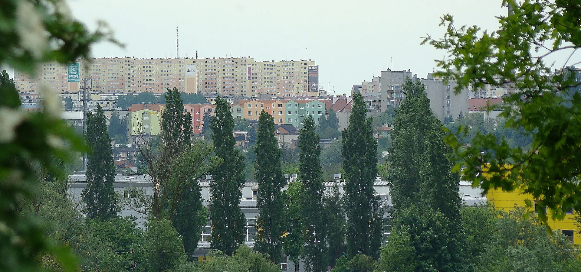 Zdjęcie: Kalisz — tło strony lokalnej