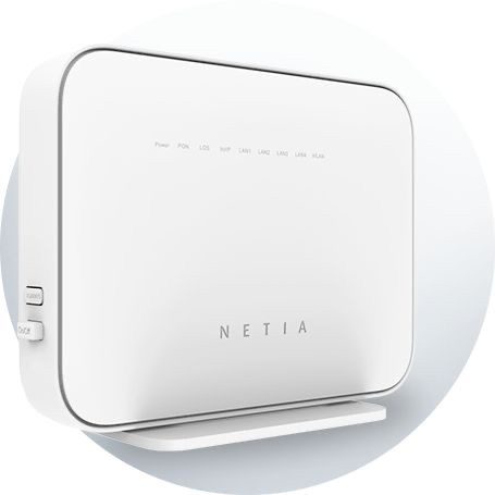 Router Netia